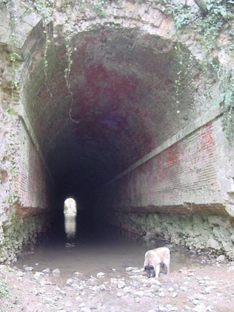 Arche de la Vallée (Etat en 2004) Arche de la Vallée (Etat en 2004)